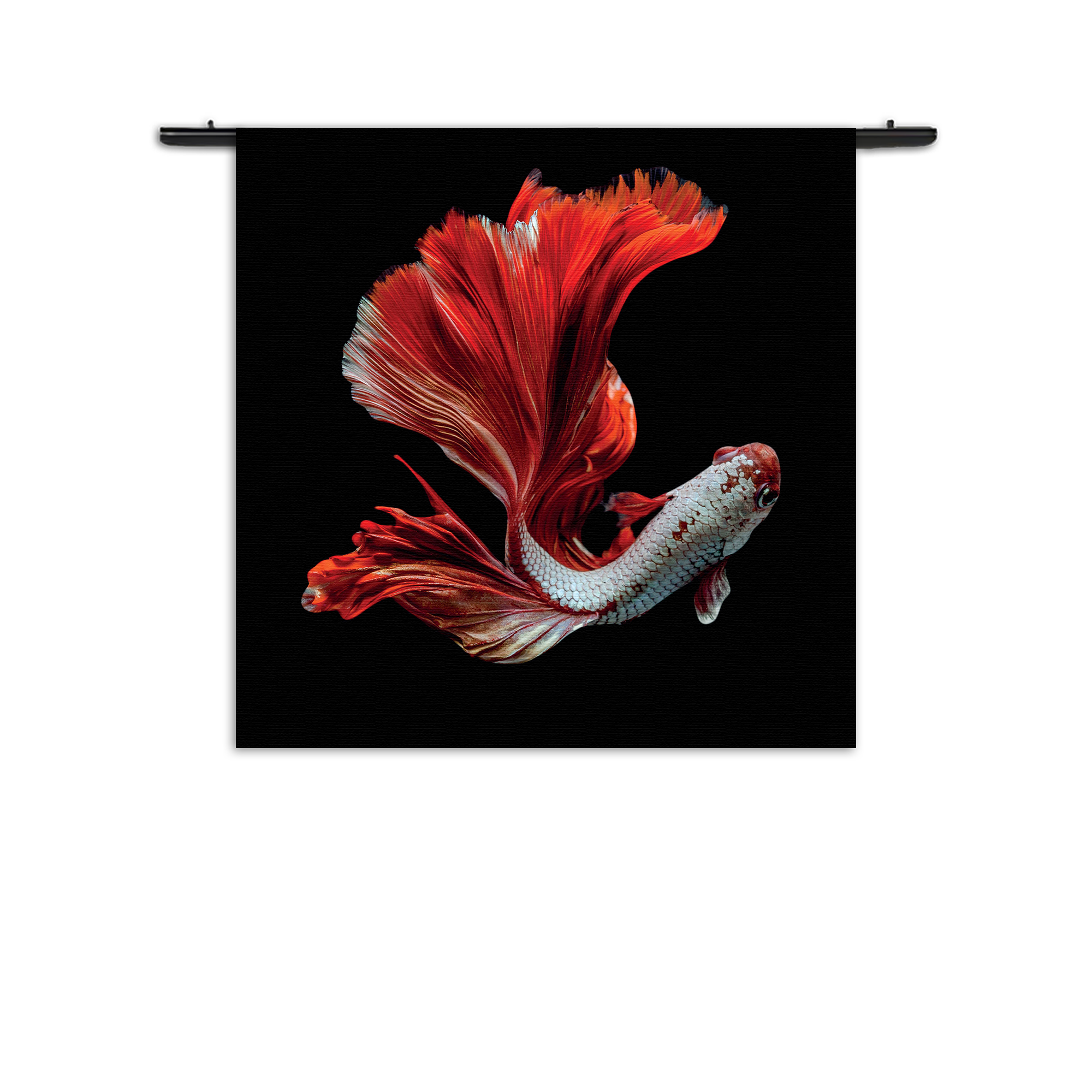 Wandkleed The Betta Fish Rechthoek Vierkant