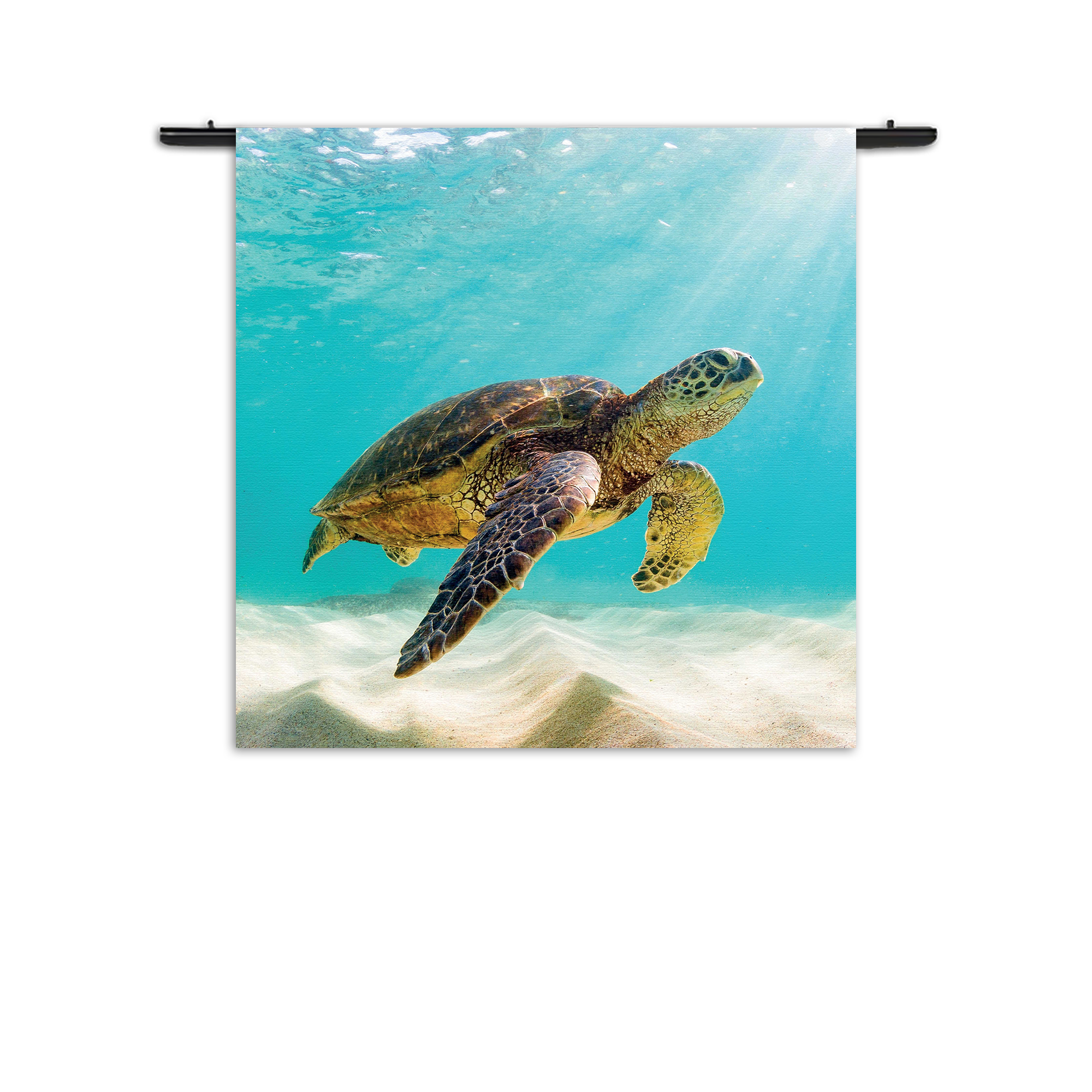 Wandkleed Zeeschildpad In Helderblauw Water 04 Rechthoek Vierkant