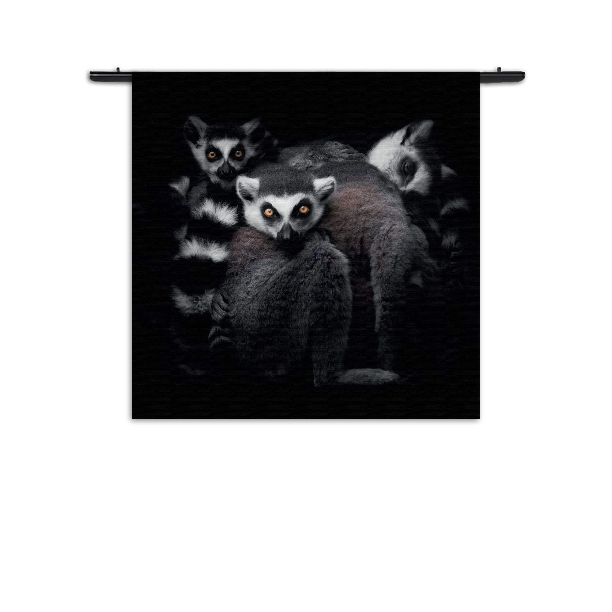 Wandkleed Ringstaartmaki's Met Zwarte Achtergrond Rechthoek Vierkant