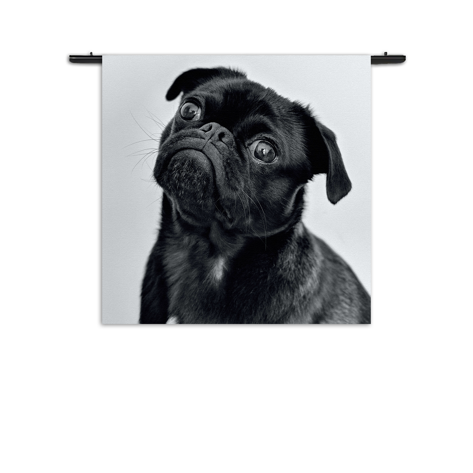 Wandkleed Mopshond Zwart Rechthoek Vierkant