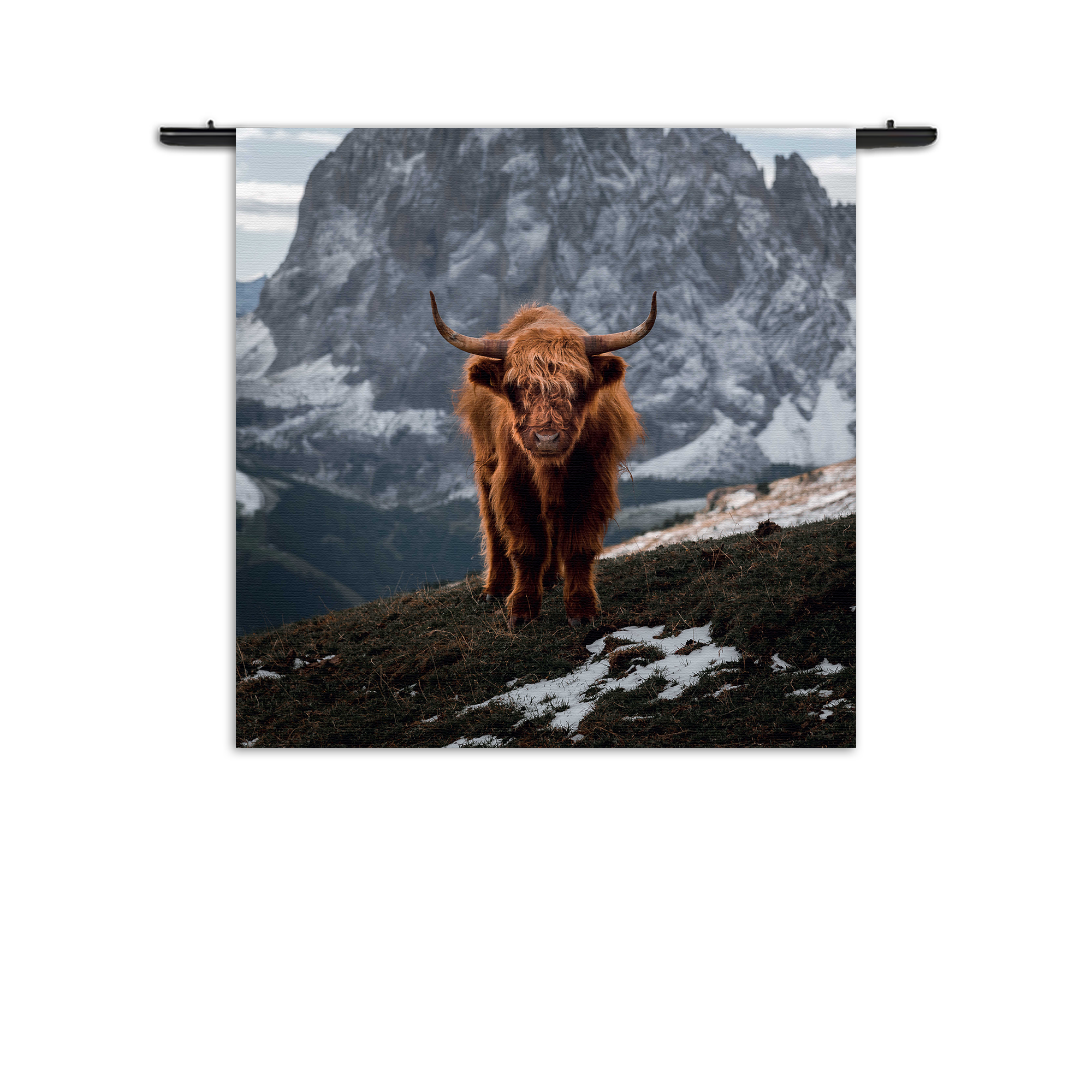 Template_Vierkant_Rond_Dieren_71-1 Wandkleed Bizon Van Het Gebergten Rechthoek Vierkant