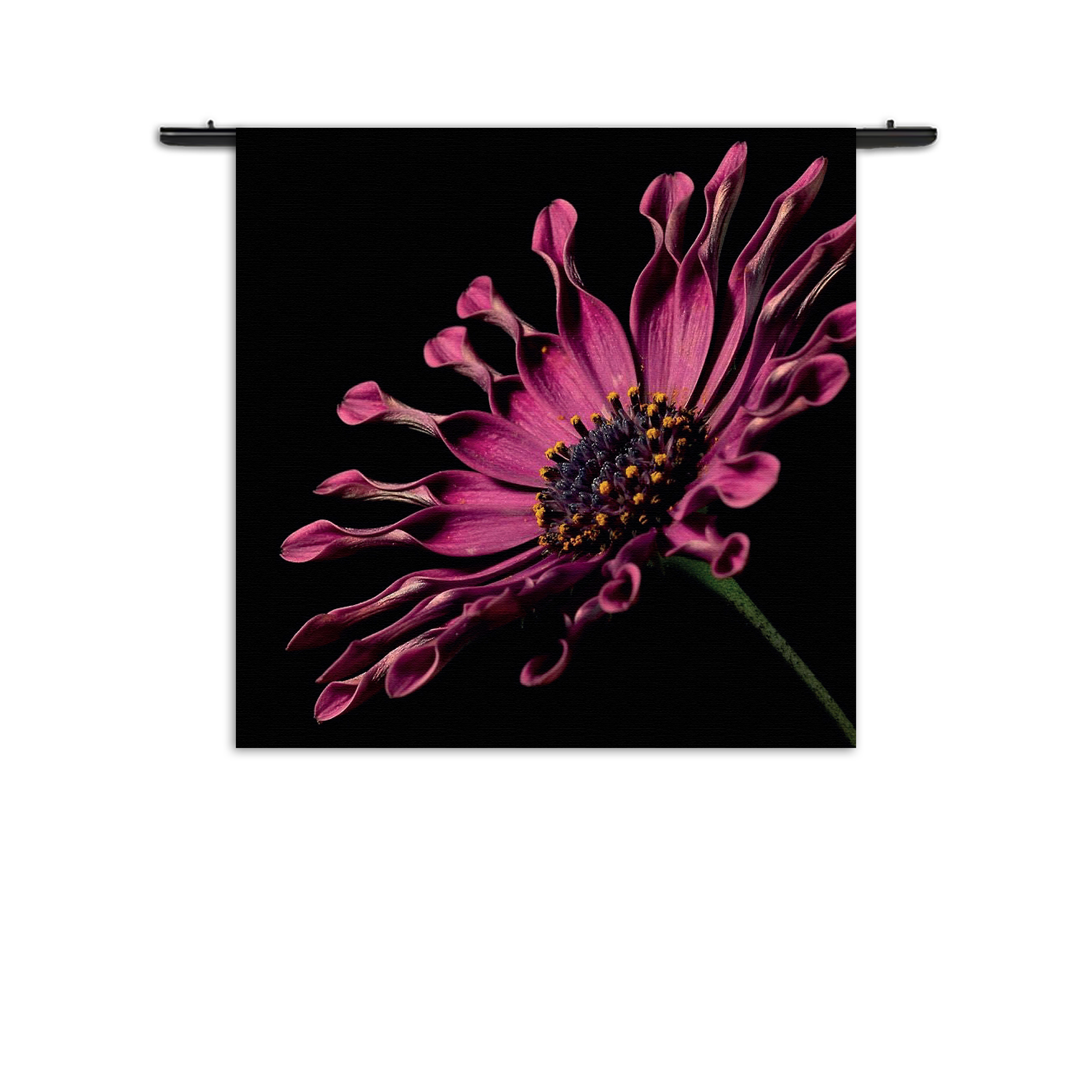 Wandkleed Aster Bloem Rechthoek Vierkant