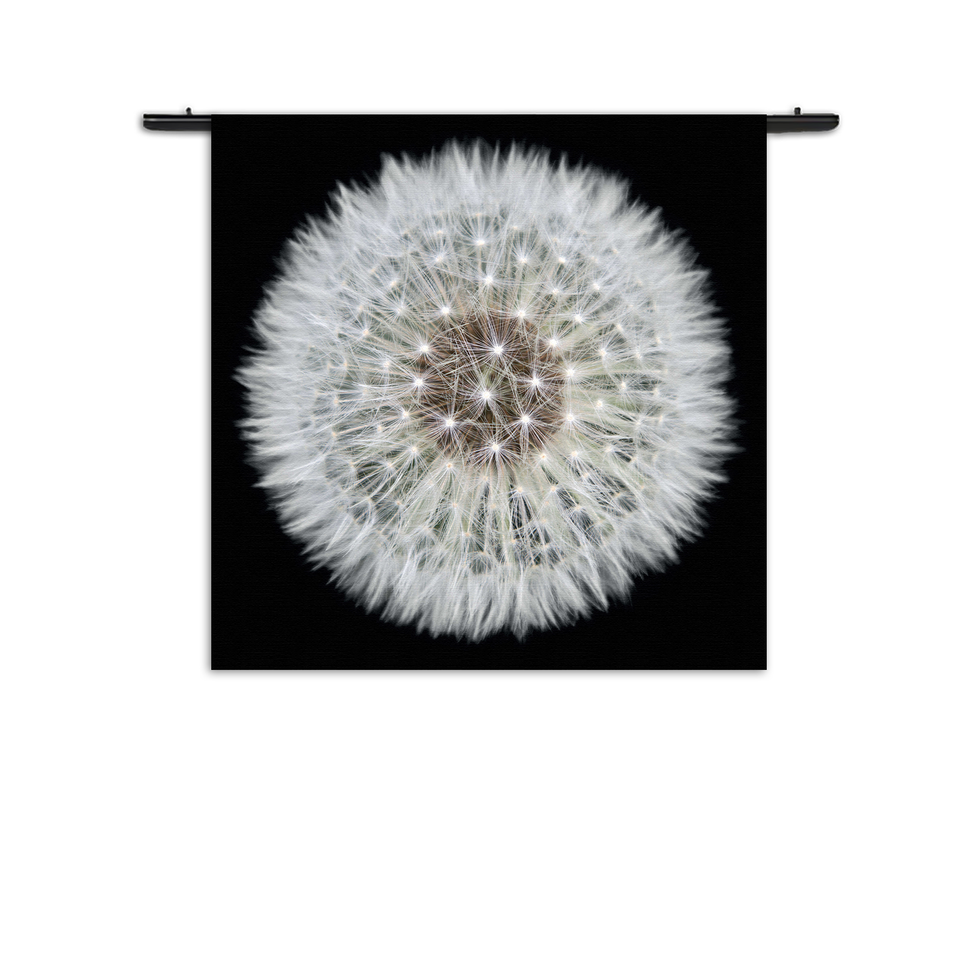 Template_Vierkant_Rond_Natuur_35-1 Wandkleed Pluis van paardenbloem Rechthoek Vierkant