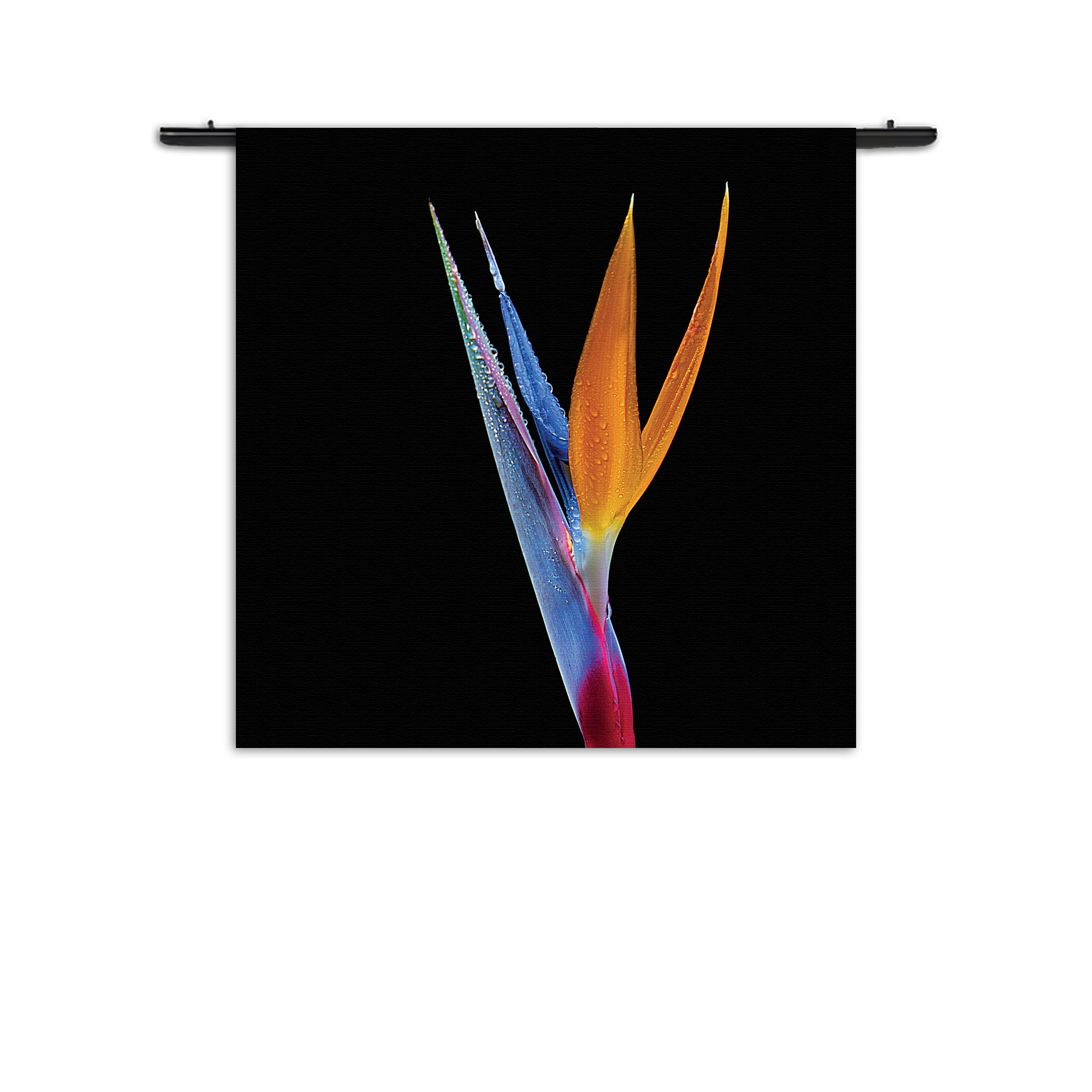 Template_Vierkant_Rond_Natuur_46-1 Wandkleed Tropische Strelitzia Rechthoek Vierkant