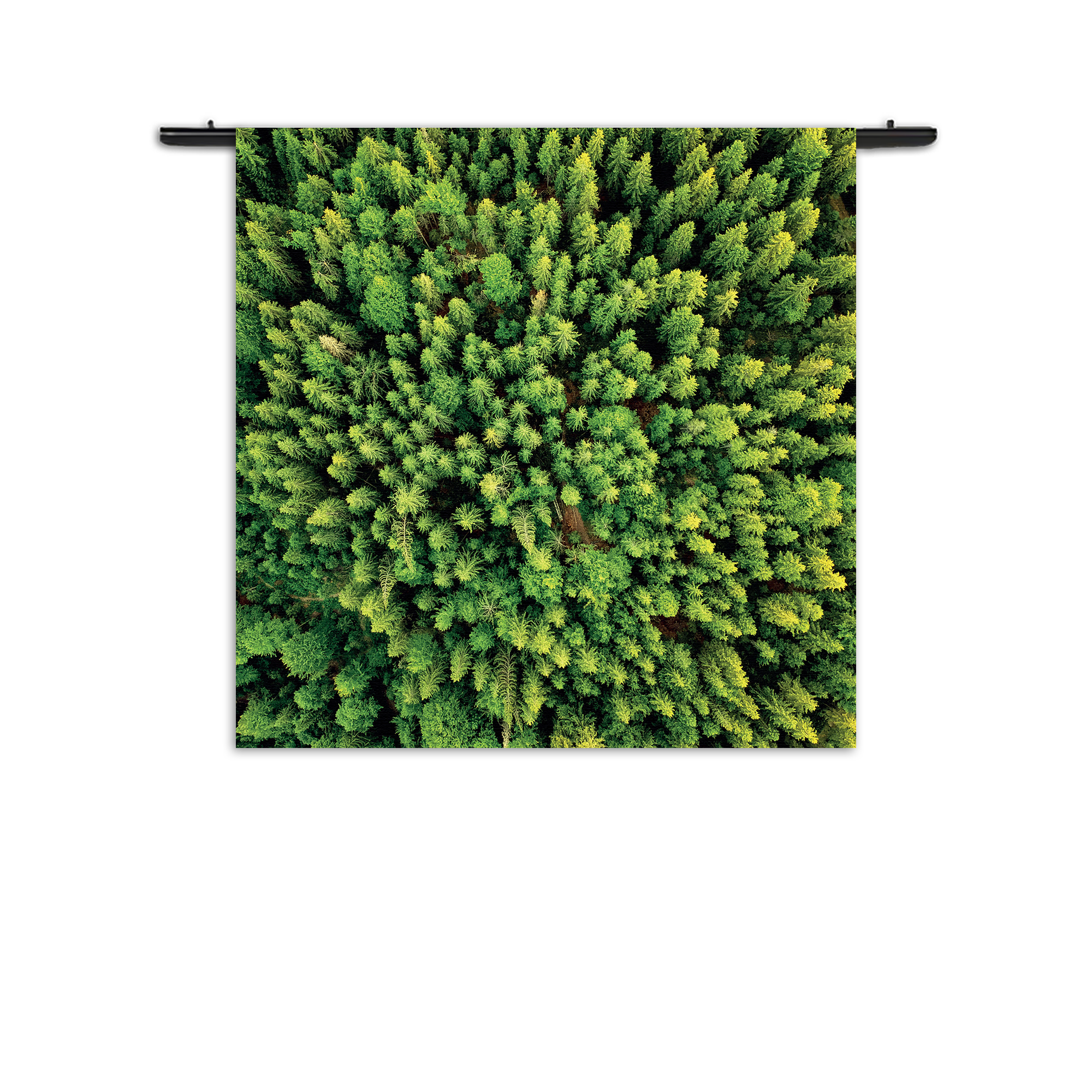 Template_Vierkant_Rond_Natuur_64-1 Wandkleed Het groene bos Rechthoek Vierkant