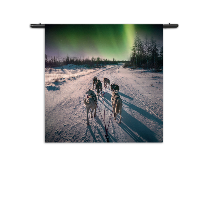 Wandkleed Huskies door Lapland Rechthoek Vierkant