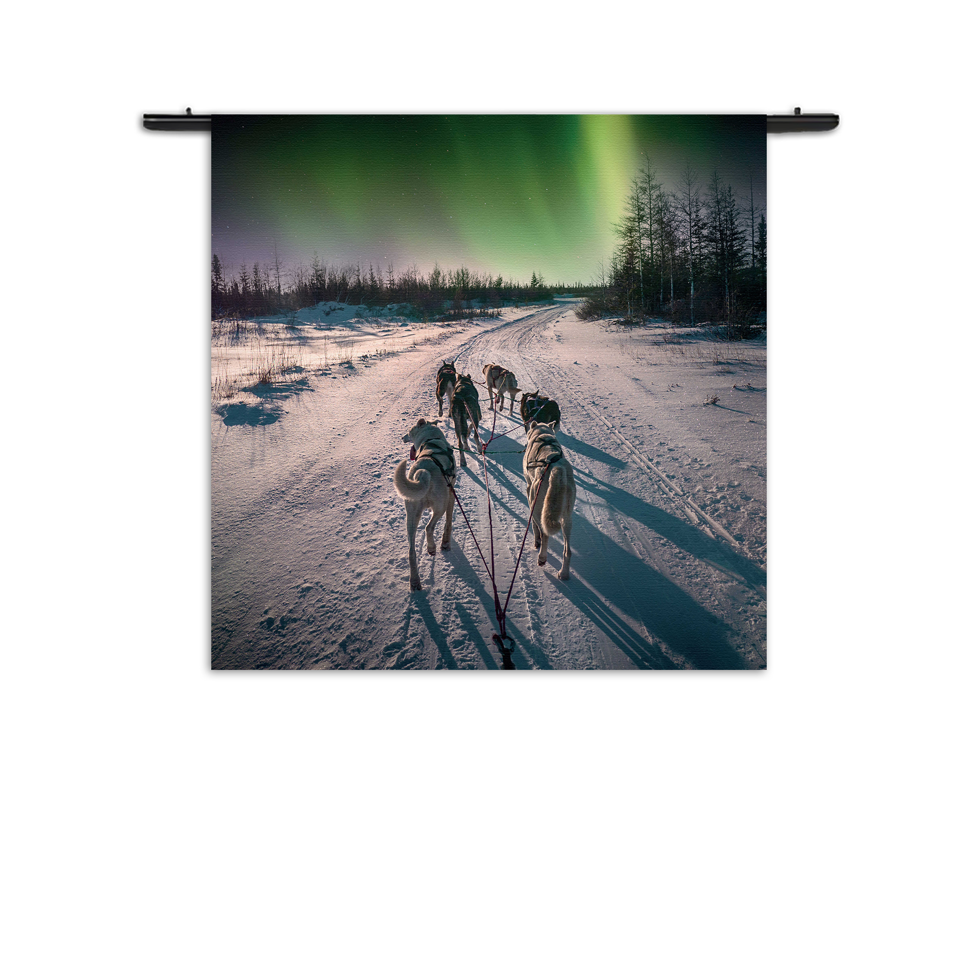 Wandkleed Huskies door Lapland Rechthoek Vierkant