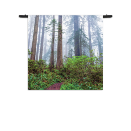 Wandkleed Sequoia bos Rechthoek Vierkant