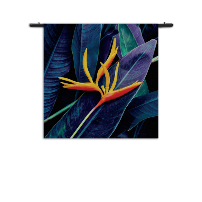 Wandkleed Heliconia bloem op donkere achtergrond Rechthoek Vierkant Template Vierkant Rond Natuur 95 1