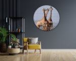 Akoestisch Schilderij Drie Giraffen Rond - Muurcirkel Template Vierkant Rond dieren 14 1 scaled 1