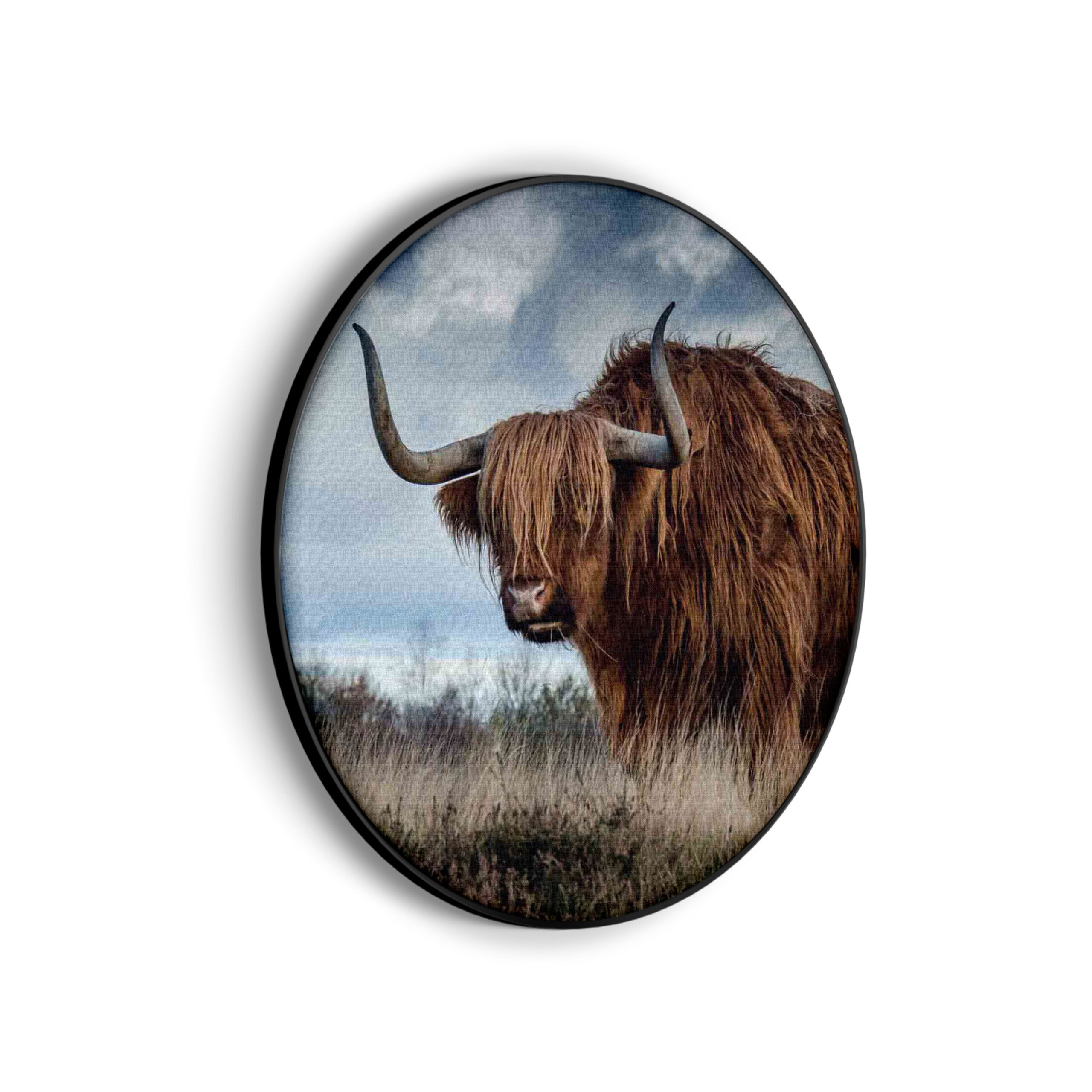 Akoestisch Schilderij Bizon Rond - Muurcirkel Template Vierkant Rond dieren 18 scaled 1