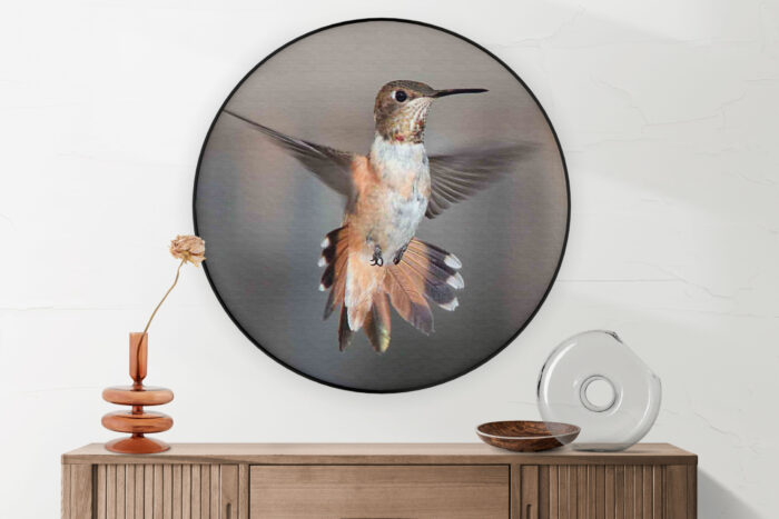 Akoestisch Schilderij De Vliegende Kolibrie Vogel Rond - Muurcirkel Template Vierkant Rond dieren 19 2 scaled 1