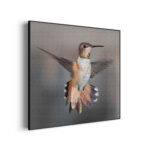 Akoestisch Schilderij De Vliegende Kolibrie Vogel Vierkant Template Vierkant Rond dieren 19 3 scaled 1
