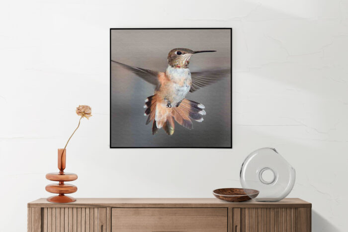Akoestisch Schilderij De Vliegende Kolibrie Vogel Vierkant Template Vierkant Rond dieren 19 5 scaled 1