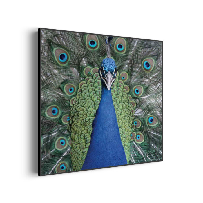 Akoestisch Schilderij Blauwe Pauw Met Groene Verem Vierkant Template Vierkant Rond dieren 20 3 scaled 1