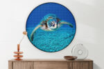 Akoestisch Schilderij Zeeschildpad In Helderblauw Water 01 Rond - Muurcirkel Template Vierkant Rond dieren 21 2 scaled 1