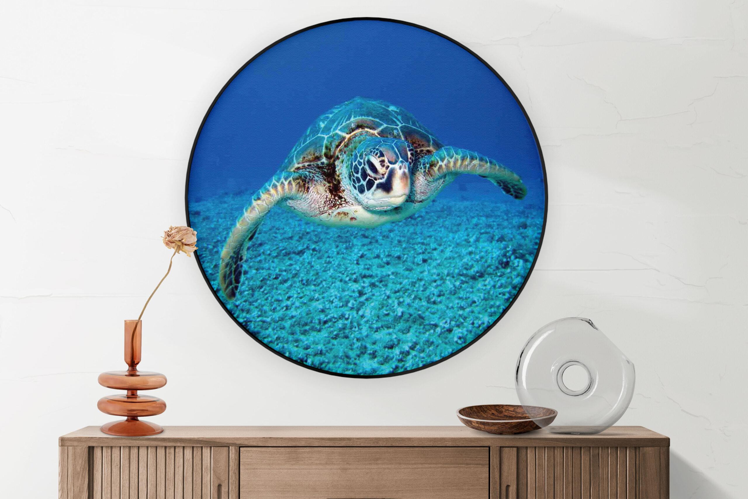 Template_Vierkant_Rond_dieren_21-2-scaled Akoestisch Schilderij Zeeschildpad In Helderblauw Water 03 Rond - Muurcirkel Template Vierkant Rond dieren 21 2 scaled 1
