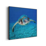 Akoestisch Schilderij Zeeschildpad In Helderblauw Water 01 Vierkant Template Vierkant Rond dieren 21 3 scaled 1