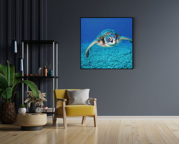 Akoestisch Schilderij Zeeschildpad In Helderblauw Water 01 Vierkant Template Vierkant Rond dieren 21 4 scaled 1