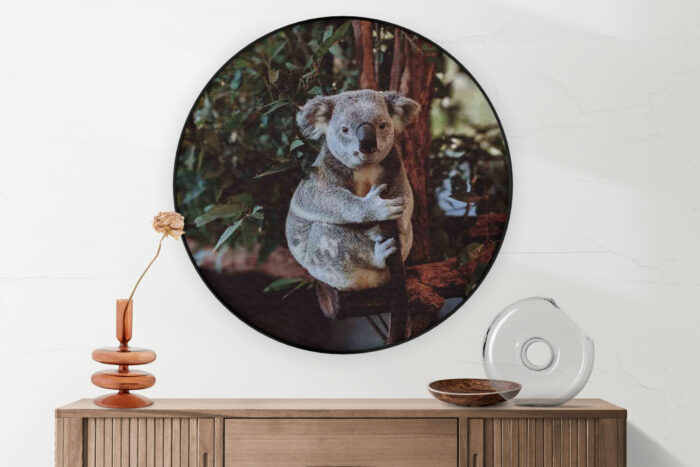 Akoestisch Schilderij De Vastgelamde Koala Rond - Muurcirkel Template Vierkant Rond dieren 23 2 scaled 1