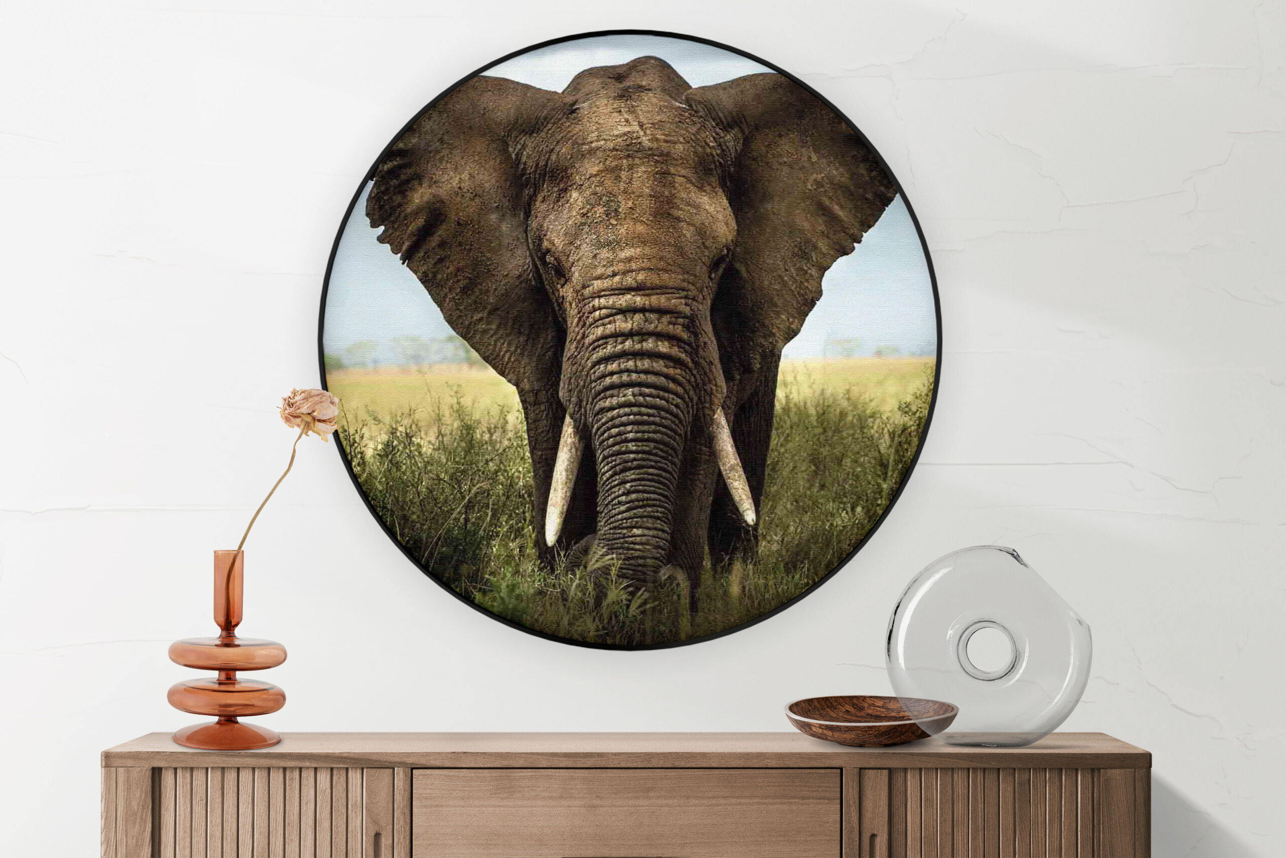Template_Vierkant_Rond_dieren_25-2-scaled Akoestisch Schilderij Olifant Rond - Muurcirkel Template Vierkant Rond dieren 25 2 scaled 1
