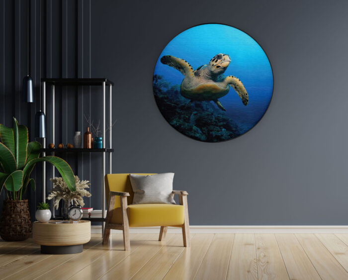 Akoestisch Schilderij Zeeschildpad In Helderblauw Water 02 Rond - Muurcirkel Template Vierkant Rond dieren 26 1 scaled 1