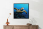 Akoestisch Schilderij Zeeschildpad In Helderblauw Water 02 Vierkant Template Vierkant Rond dieren 26 5 scaled 1