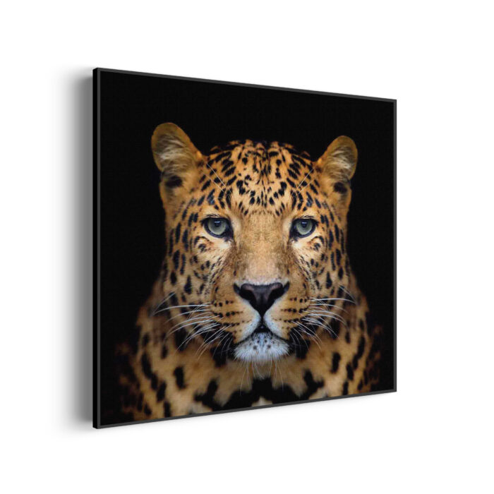 Akoestisch Schilderij De Jaguar Vierkant Template Vierkant Rond dieren 29 3 scaled 1