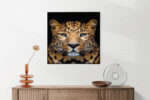 Akoestisch Schilderij De Jaguar Vierkant Template Vierkant Rond dieren 29 5 scaled 1