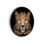 Akoestisch Schilderij De Jaguar Rond - Muurcirkel Template Vierkant Rond dieren 29 scaled 1