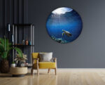 Akoestisch Schilderij Zeeschildpad In Helderblauw Water 03 Rond - Muurcirkel Template Vierkant Rond dieren 30 1 scaled 1