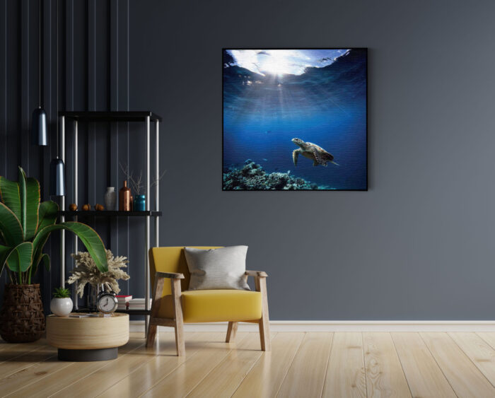 Akoestisch Schilderij Zeeschildpad In Helderblauw Water 03 Vierkant Template Vierkant Rond dieren 30 4 scaled 1