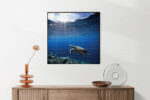 Akoestisch Schilderij Zeeschildpad In Helderblauw Water 03 Vierkant Template Vierkant Rond dieren 30 5 scaled 1