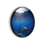Akoestisch Schilderij Zeeschildpad In Helderblauw Water 03 Rond - Muurcirkel Template Vierkant Rond dieren 30 scaled 1