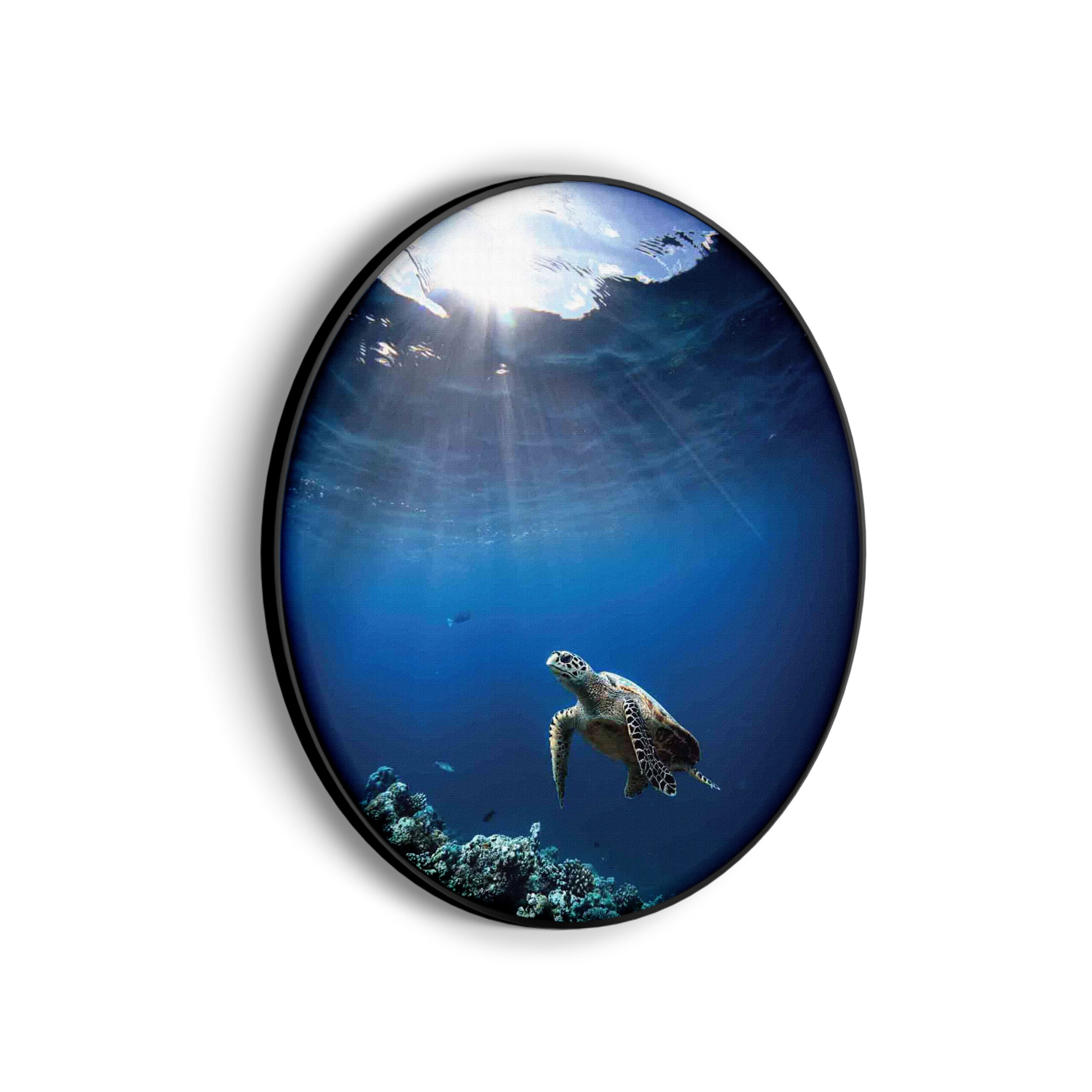Template_Vierkant_Rond_dieren_30-scaled Akoestisch Schilderij Zeeschildpad In Helderblauw Water 03 Rond - Muurcirkel Template Vierkant Rond dieren 30 scaled 1