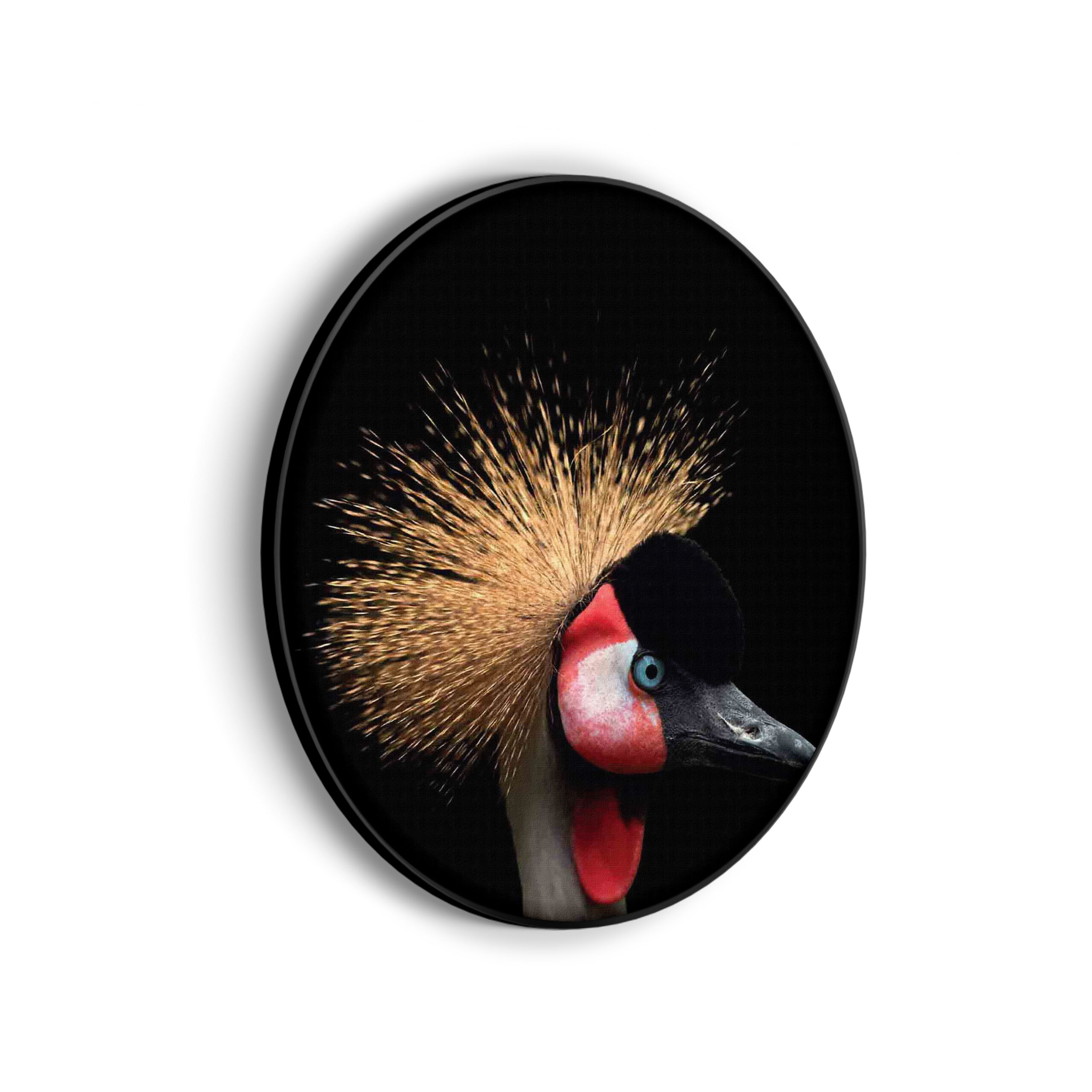 Template_Vierkant_Rond_dieren_31-scaled Akoestisch Schilderij Kroonkraanvolgel Close Up Colored Rond - Muurcirkel Template Vierkant Rond dieren 31 scaled 1