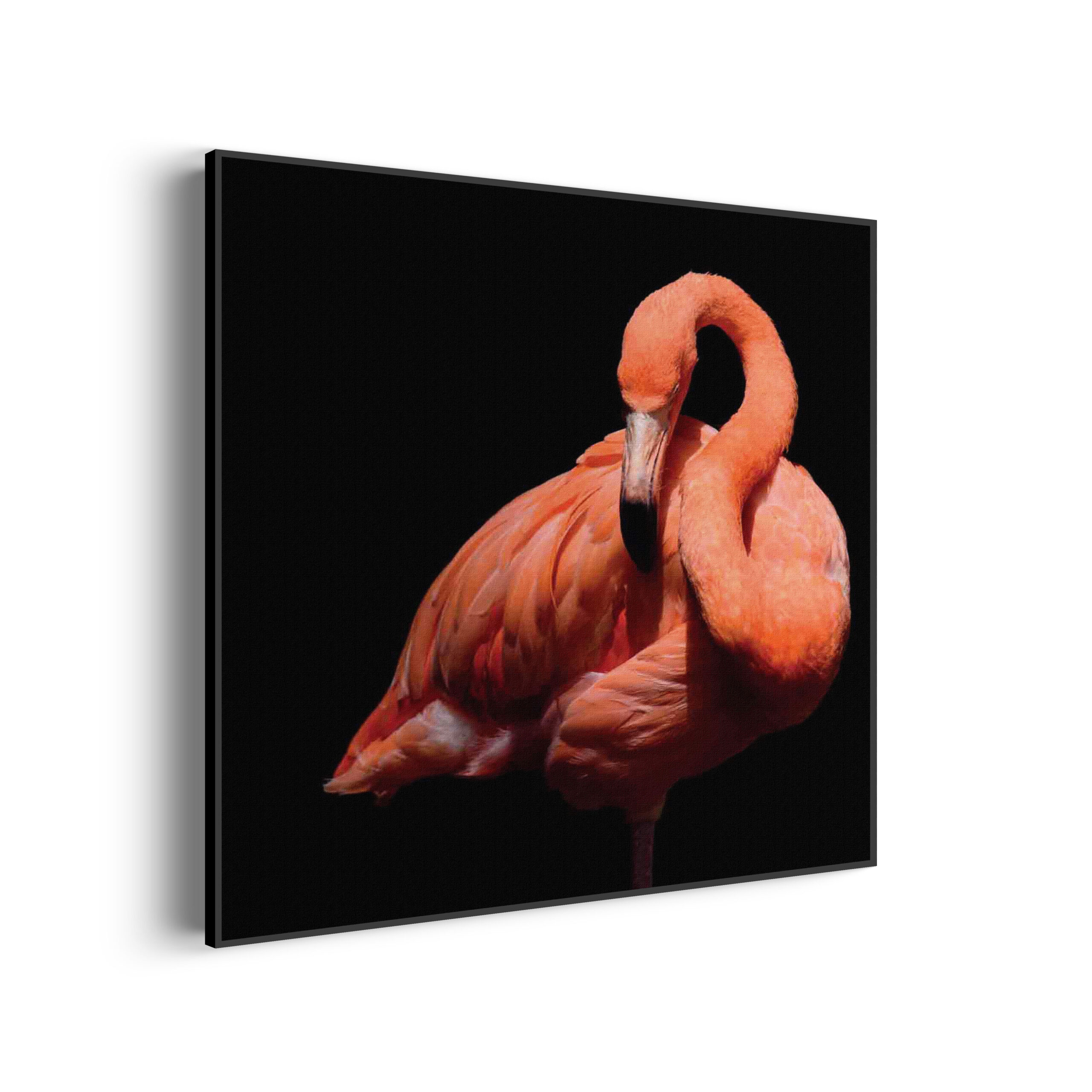 Template_Vierkant_Rond_dieren_33-3-scaled Akoestisch Schilderij Blauwe Pauw Met Groene Verem Vierkant Template Vierkant Rond dieren 33 3 scaled 1