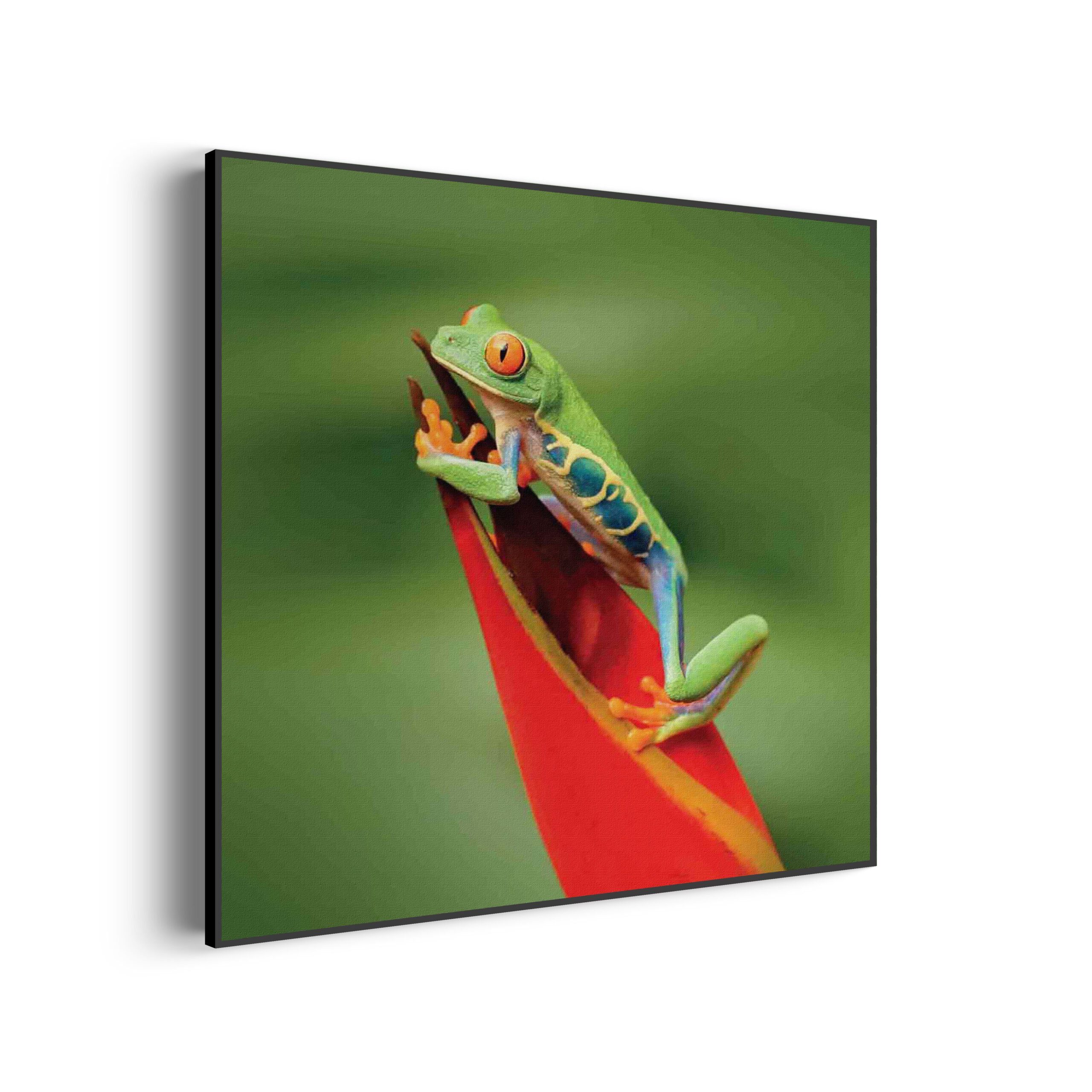 Template_Vierkant_Rond_dieren_35-3-scaled Akoestisch Schilderij Blauwe Pauw Met Groene Verem Vierkant Template Vierkant Rond dieren 35 3 scaled 1