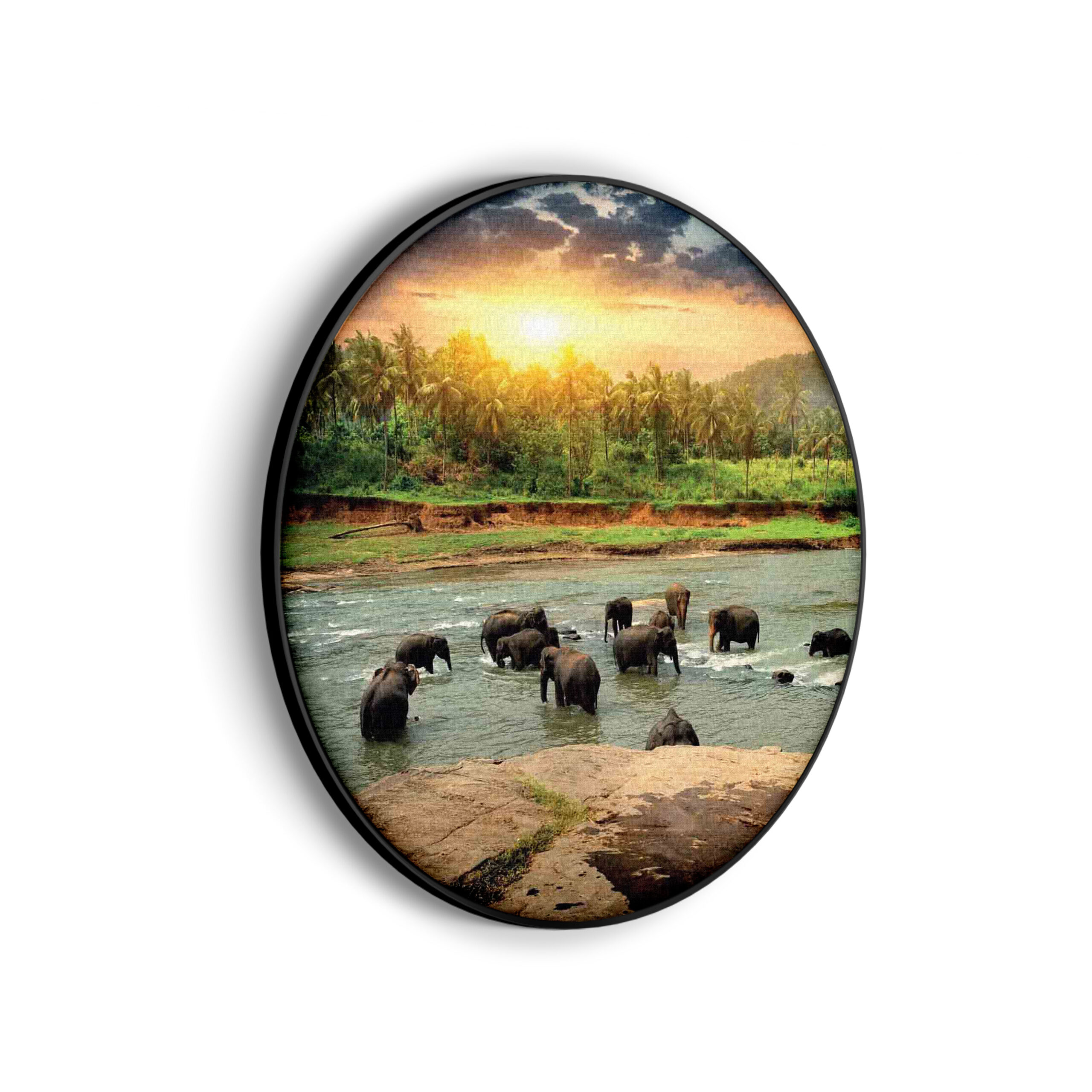 Akoestisch Schilderij De Rivier Olifanten Rond - Muurcirkel Template Vierkant Rond dieren 39 scaled 1