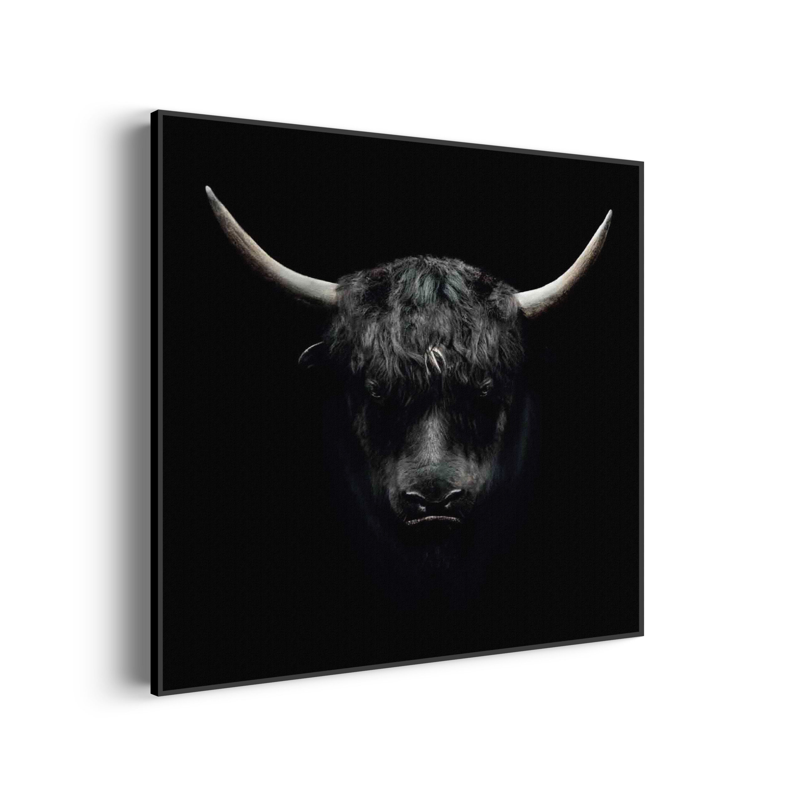 Akoestisch Schilderij Stier Ready To Fight 02 Vierkant Template Vierkant Rond dieren 41 3 scaled 1