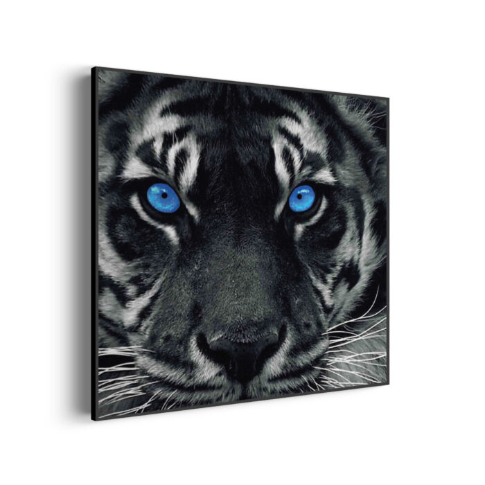 Akoestisch Schilderij Lion With Blue Eyes Vierkant Template Vierkant Rond dieren 42 3 scaled 1