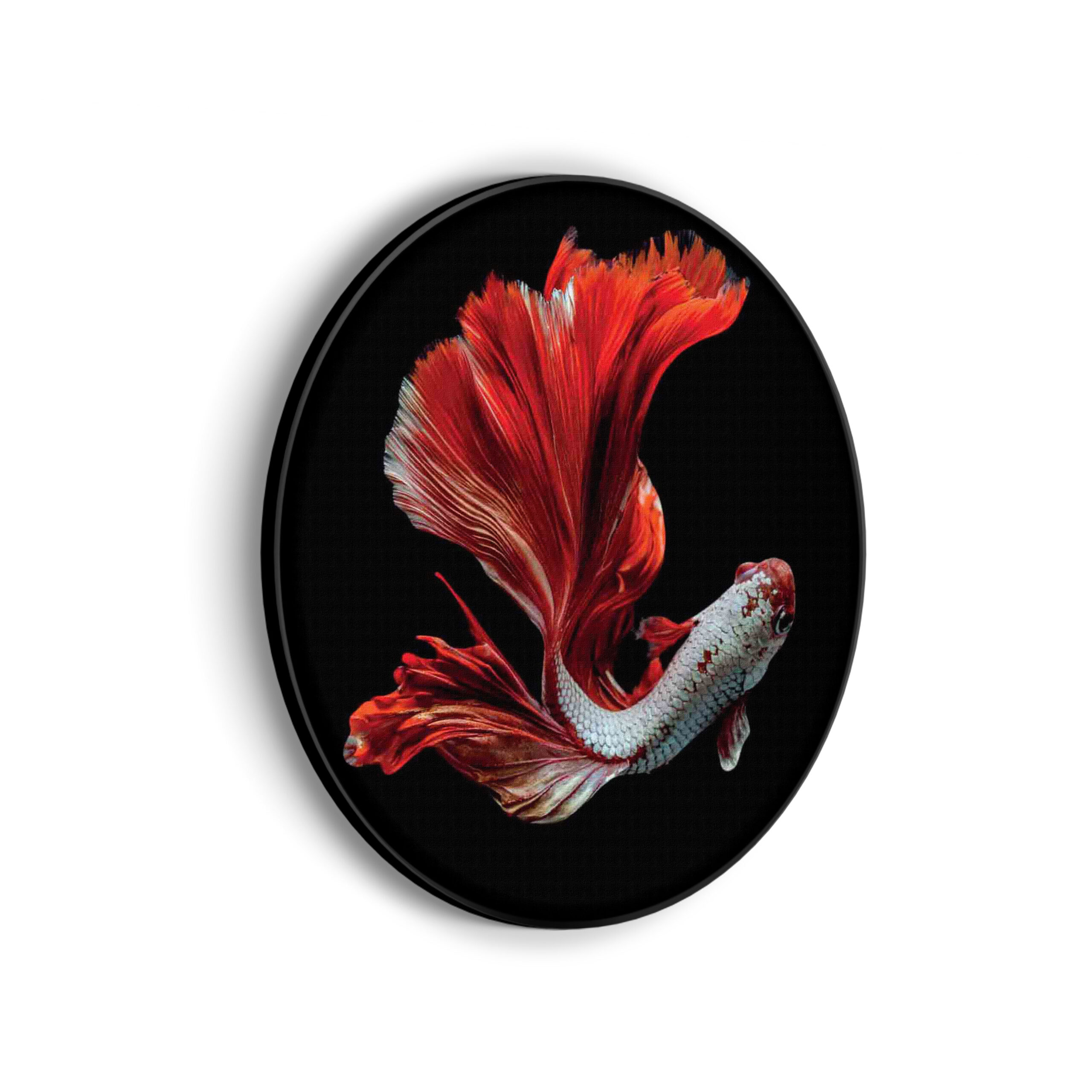Template_Vierkant_Rond_dieren_43-scaled Akoestisch Schilderij The Betta Fish Rond - Muurcirkel Template Vierkant Rond dieren 43 scaled 1