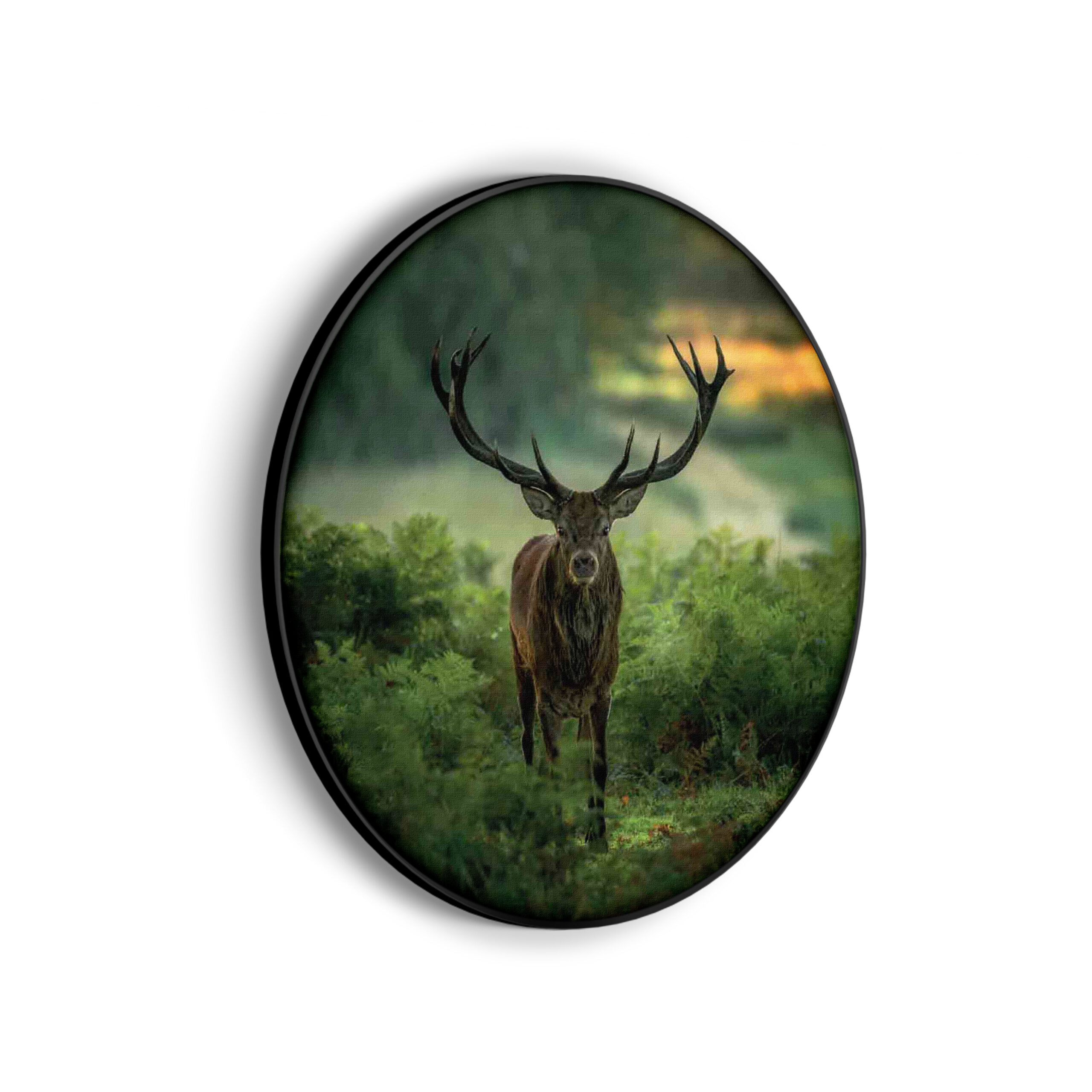 Akoestisch Schilderij Edelhert In Het Bos Rond - Muurcirkel Template Vierkant Rond dieren 45 scaled 1