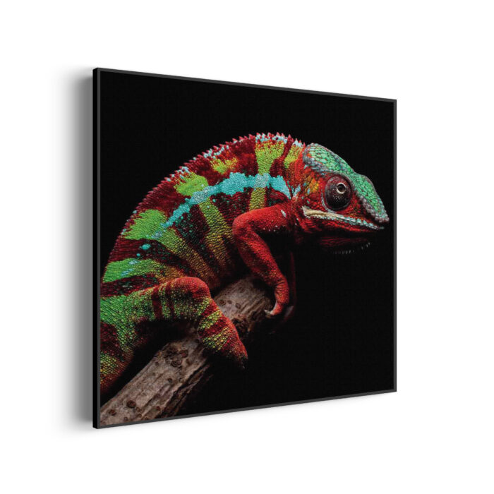 Akoestisch Schilderij De Kameleon Vierkant Template Vierkant Rond dieren 46 3 scaled 1