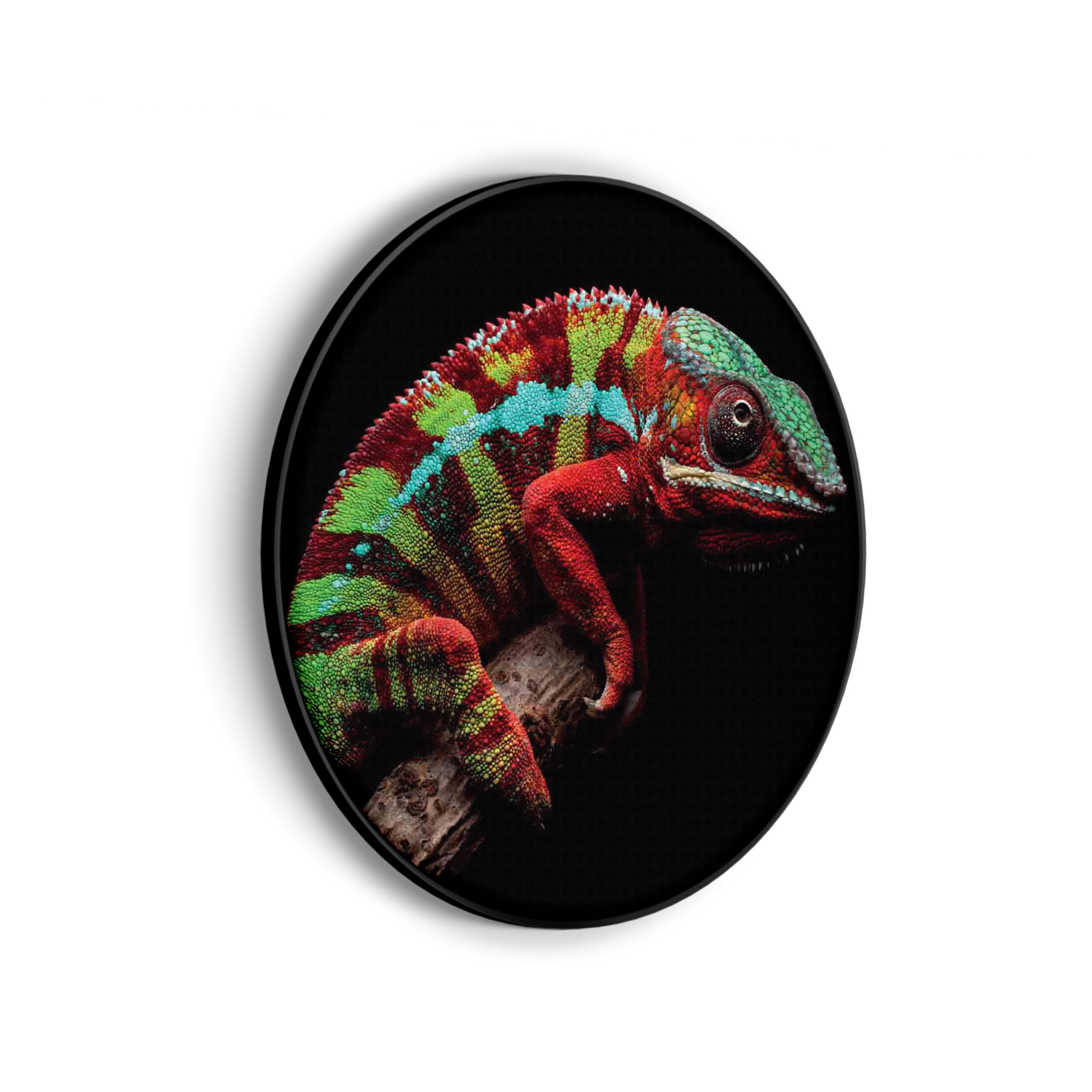 Template_Vierkant_Rond_dieren_46-scaled Akoestisch Schilderij De Kameleon Rond - Muurcirkel Template Vierkant Rond dieren 46 scaled 1