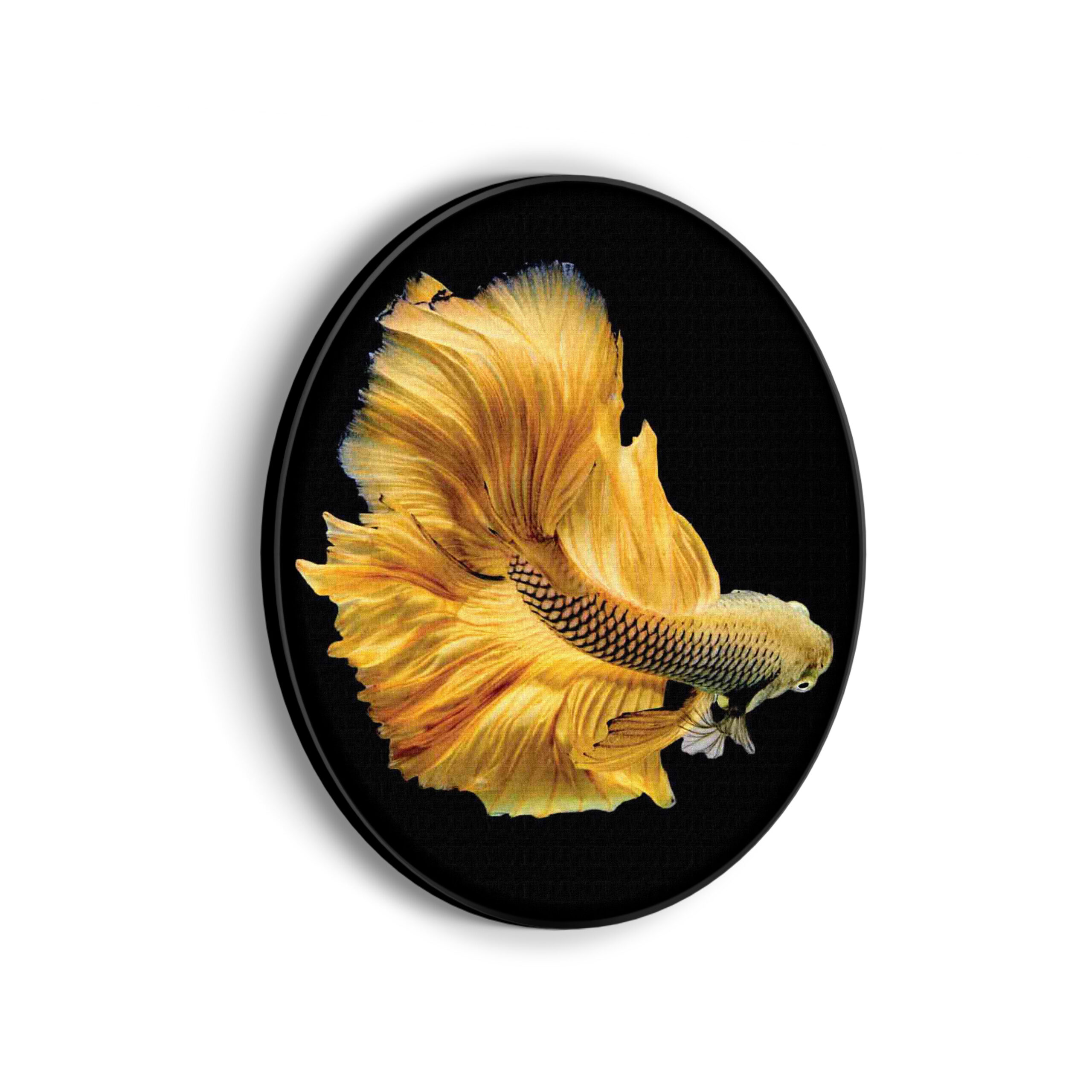 Template_Vierkant_Rond_dieren_47-scaled Akoestisch Schilderij Gele Betta Siamese Vis Rond - Muurcirkel Template Vierkant Rond dieren 47 scaled 1
