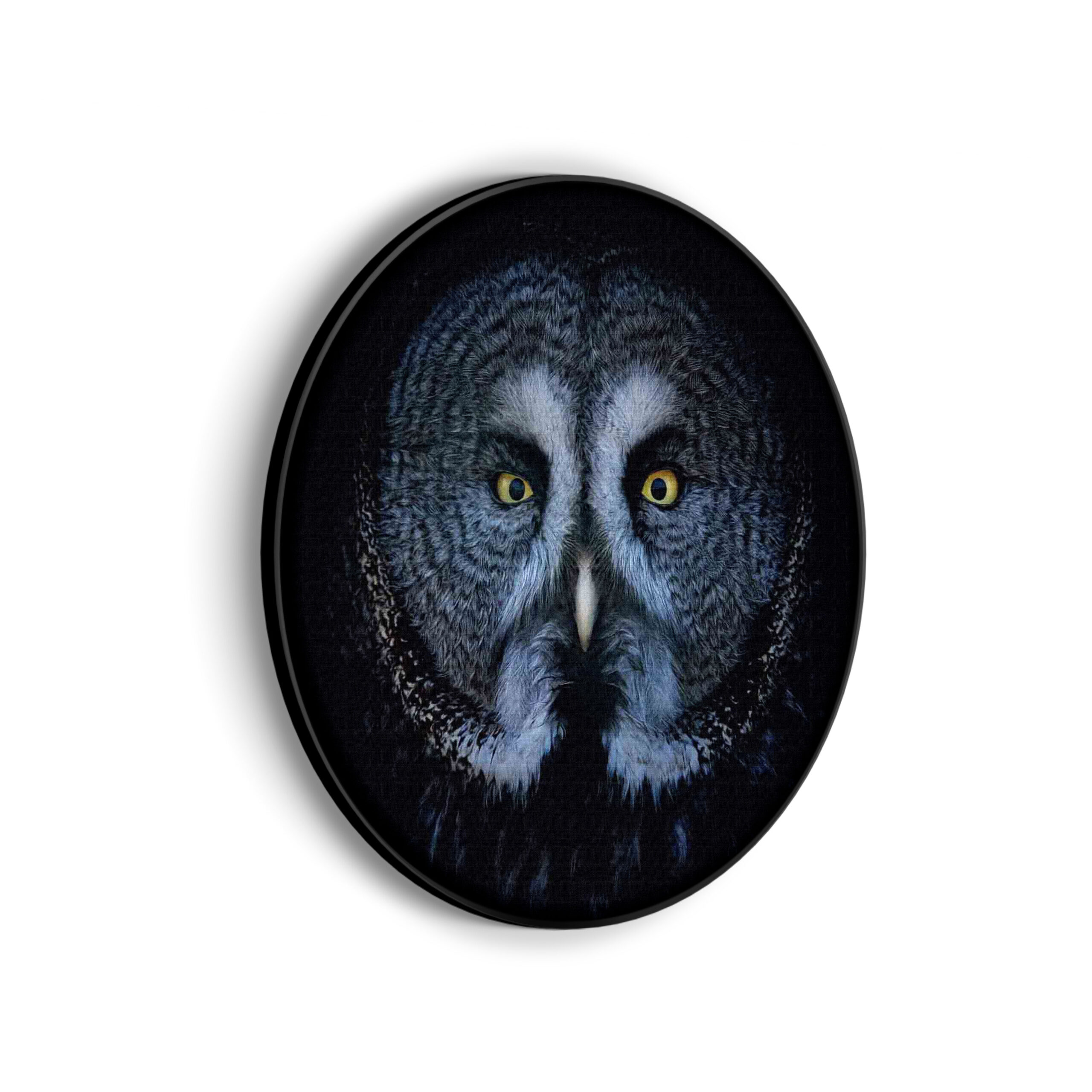 Akoestisch Schilderij Uil Hoofd Close Up Rond - Muurcirkel Template Vierkant Rond dieren 49 scaled 1