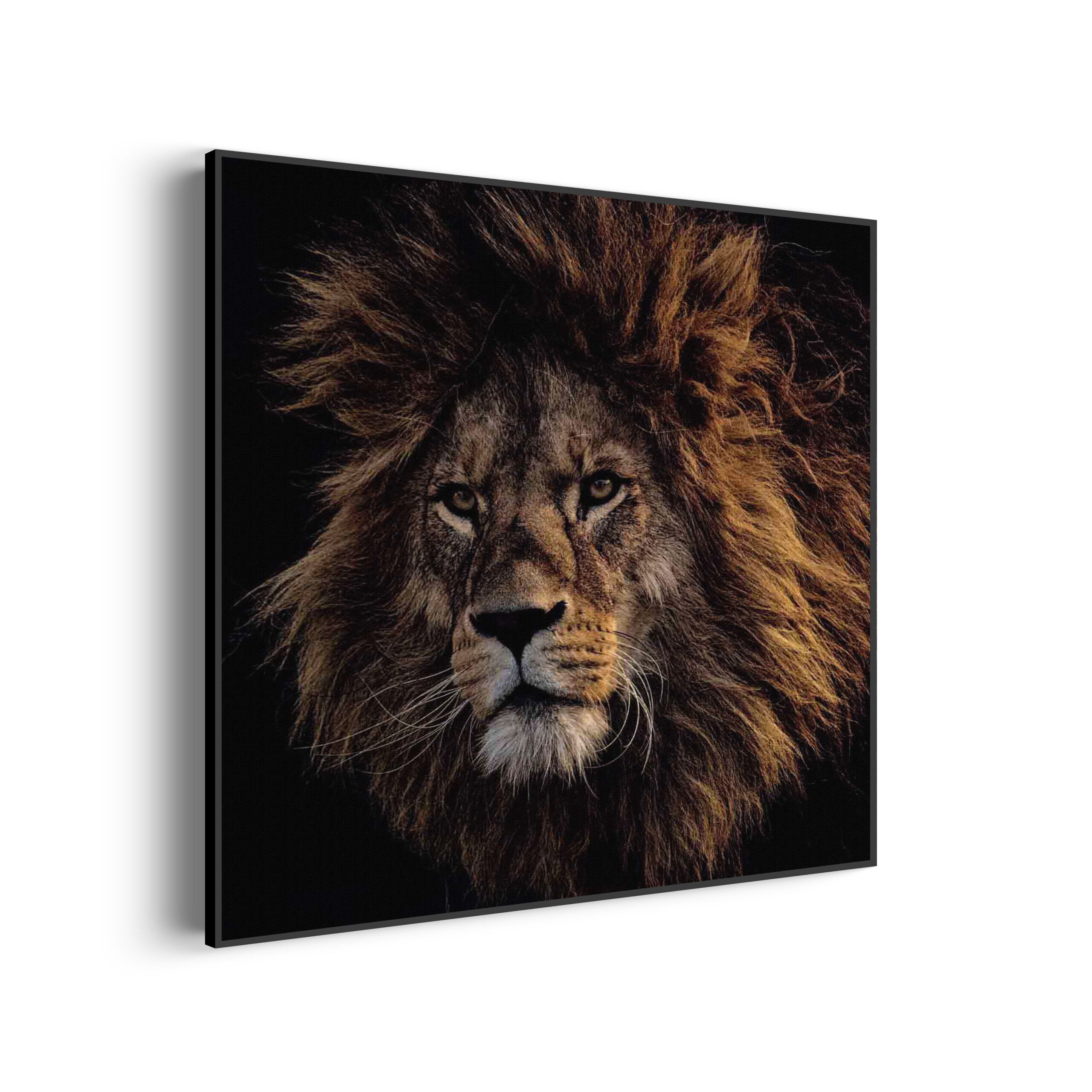Template_Vierkant_Rond_dieren_5-3-scaled Akoestisch Schilderij The Lion Vierkant Template Vierkant Rond dieren 5 3 scaled 1