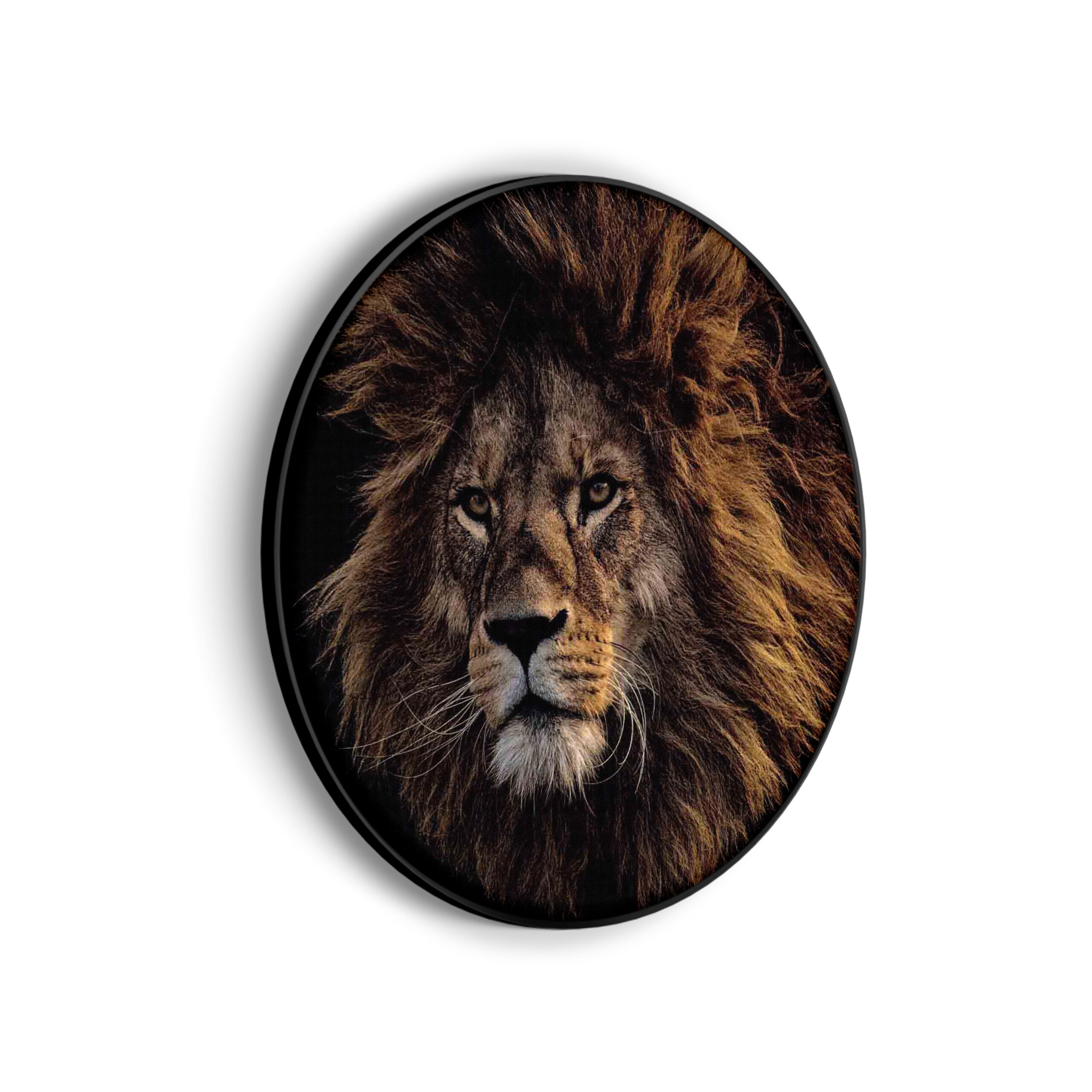 Akoestisch Schilderij The Lion Rond - Muurcirkel Template Vierkant Rond dieren 5 scaled 1