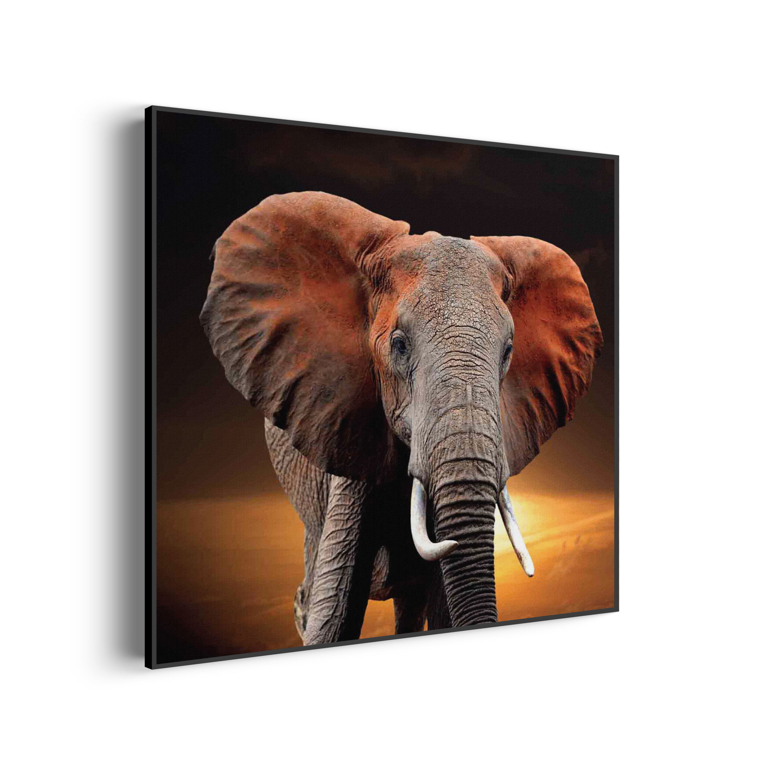 Akoestisch Schilderij Olifant met Zonsondergang Vierkant Template Vierkant Rond dieren 53 3 scaled 1